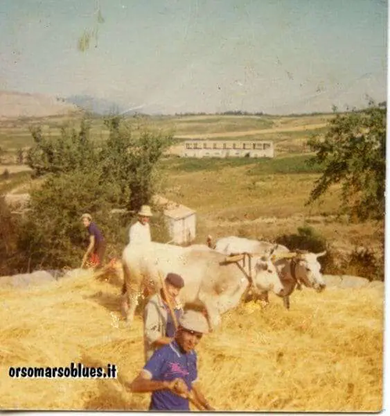 anno-1974-primo-piano-attilio-laurito-amedeo-taddio-cosimo-laurito-figlio-di-attilio-vincenzo-fortunato-papà-di-Franca