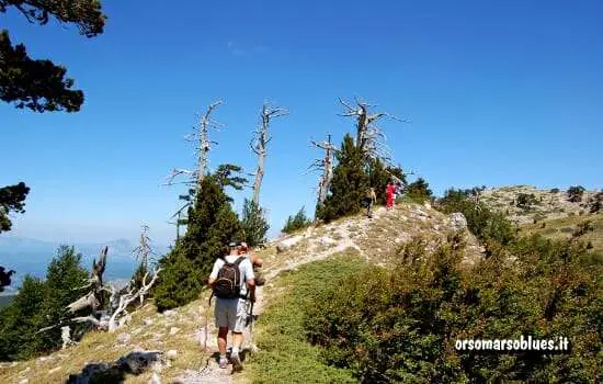 PARCO DEL POLLINO - Serretta della Porticella