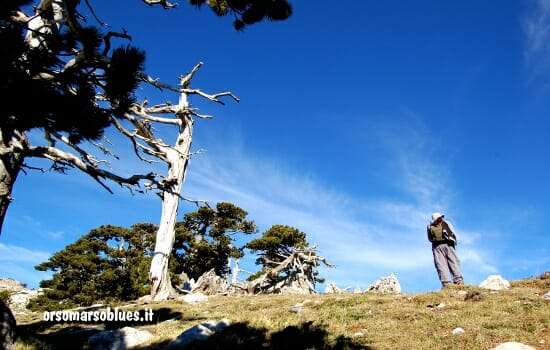 PARCO DEL POLLINO - Serra di Crispo