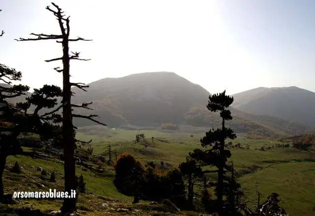 Piani di Pollino - Sullo sfondo il Pollino, a dx Serra del Prete