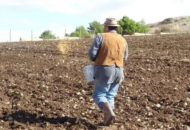 ROBA DA MATTI - L'U.E. vorrebbe negare  a contadini ed agricoltori il diritto di scambiare e vendere le sementi da loro prodotte.